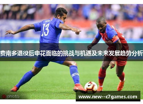 费南多退役后申花面临的挑战与机遇及未来发展趋势分析 费南多退役后申花面临的挑战与机遇及未来发展趋势分析