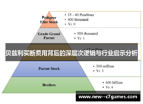 贝兹利买断费用背后的深层次逻辑与行业启示分析 贝兹利买断费用背后的深层次逻辑与行业启示分析