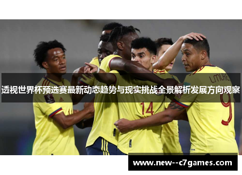 透视世界杯预选赛最新动态趋势与现实挑战全景解析发展方向观察