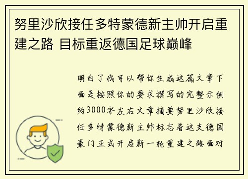 努里沙欣接任多特蒙德新主帅开启重建之路 目标重返德国足球巅峰 努里沙欣接任多特蒙德新主帅开启重建之路 目标重返德国足球巅峰